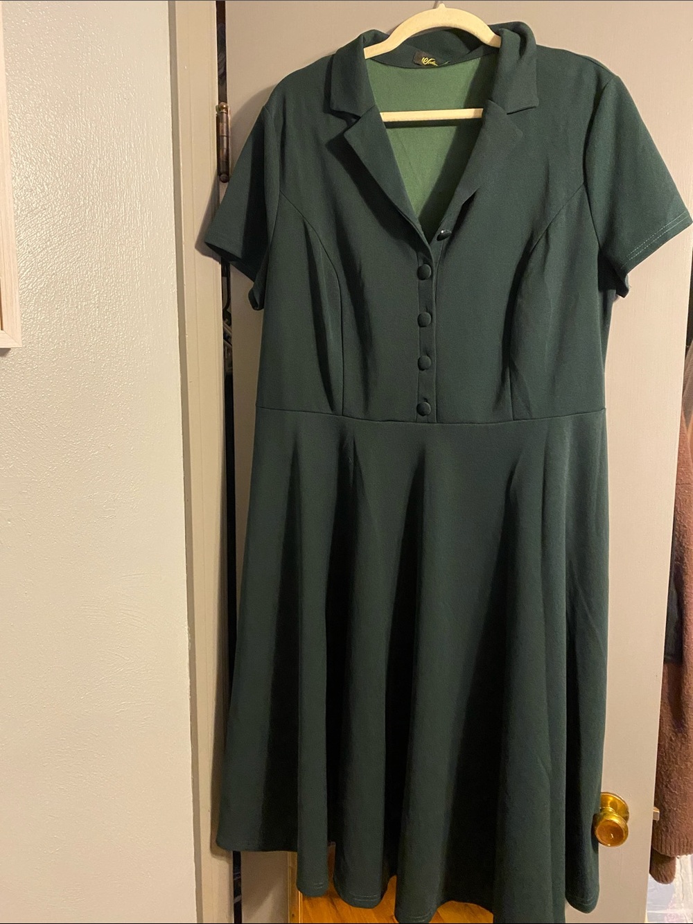Retro Short-Sleeve Button-Front Fit & Flare Dress in Dark Green